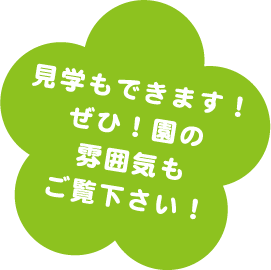 見学もできます！ぜひ！園の雰囲気もご覧下さい！